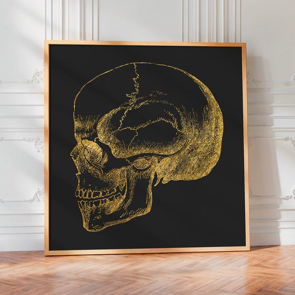 Crâne anatomique doré et noir, dessin au trait — Poster HP mat