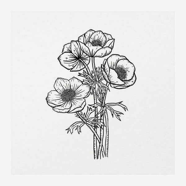 Fleurs anemone en line art noir et blanc — Toile sur châssis