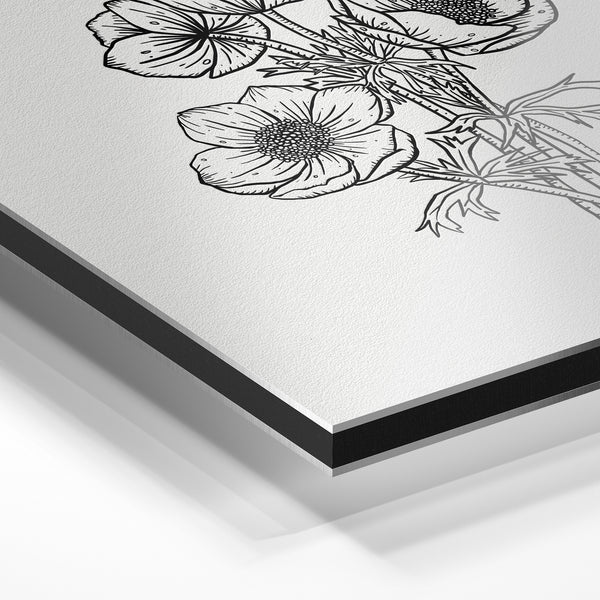 Fleurs anemone en line art noir et blanc — Aluminium Dibond relief 3D