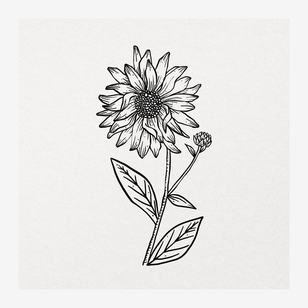 Tournesol en noir et blanc, line art botanique — Toile sur châssis