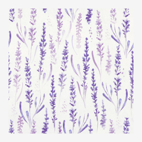 Lavandes violet pâle - Art botanique épuré — Toile sur châssis