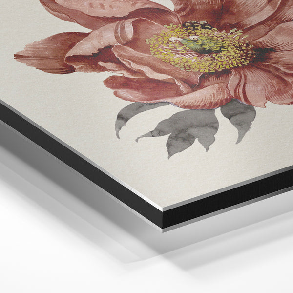 Pivoine terracotta et or, style botanique naturel — Aluminium Dibond