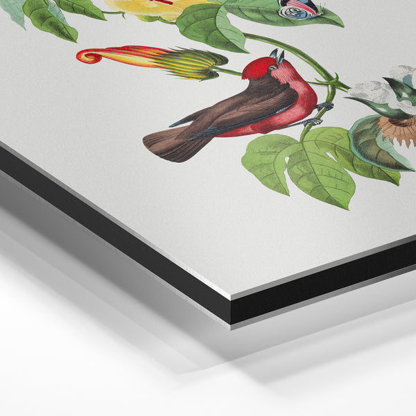 Oiseau et fleurs jaunes, style botanique — Aluminium Dibond
