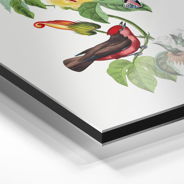 Oiseau et fleurs jaunes, style botanique — Aluminium Dibond relief 3D