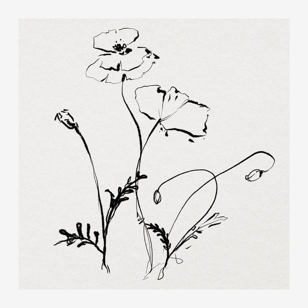 Pavots minimalistes - Line art botanique noir et blanc — Toile sur châssis