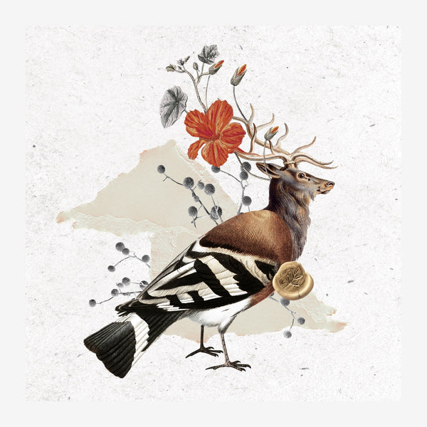 Cerf et fleur rouge, cabinet de curiosités — Poster HP mat