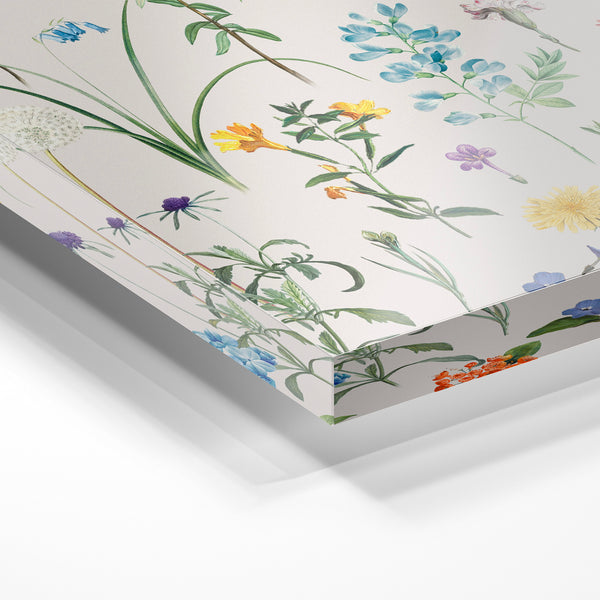 Affiche fleurs sauvages multicolores style herbier — Verre acrylique