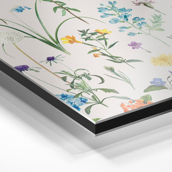 Affiche fleurs sauvages multicolores style herbier — Aluminium Dibond relief 3D