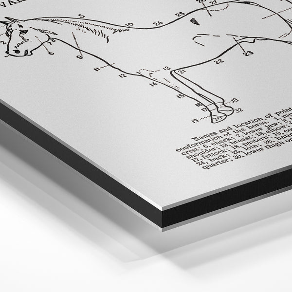 Les Points du Cheval – Diagramme éducatif — Aluminium Dibond