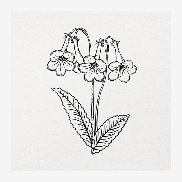 Fleur clochette en noir et blanc, style line art — Toile sur châssis