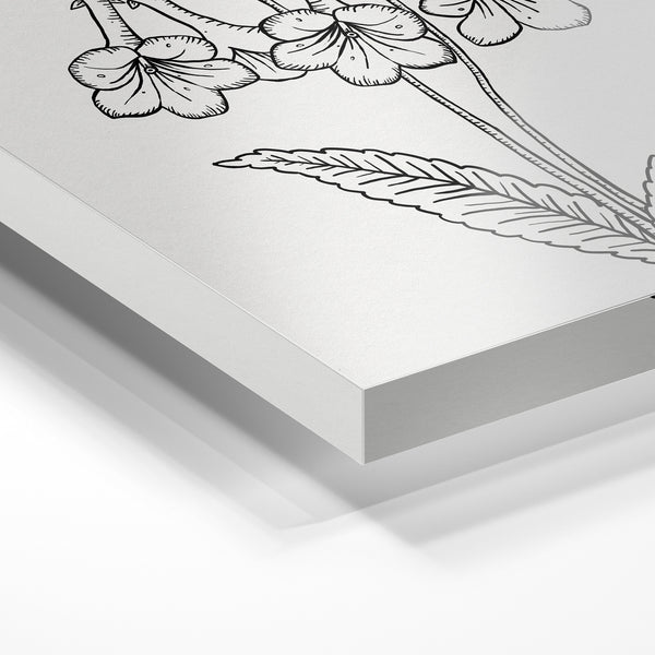 Fleur clochette en noir et blanc, style line art — Verre acrylique