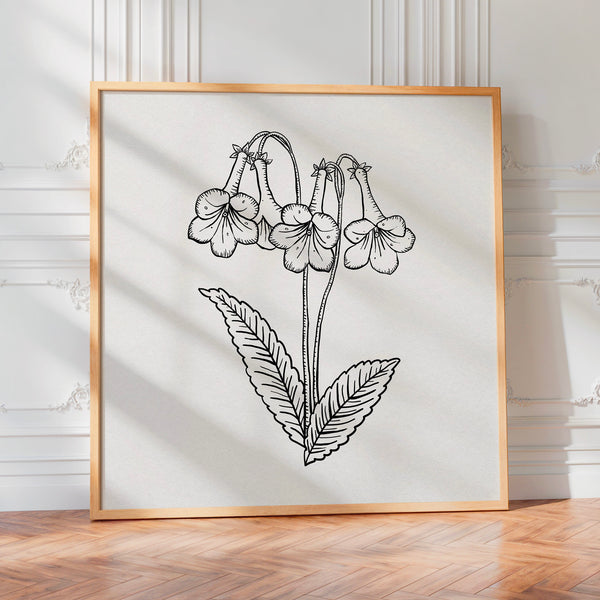 Fleur clochette en noir et blanc, style line art — Poster HP mat