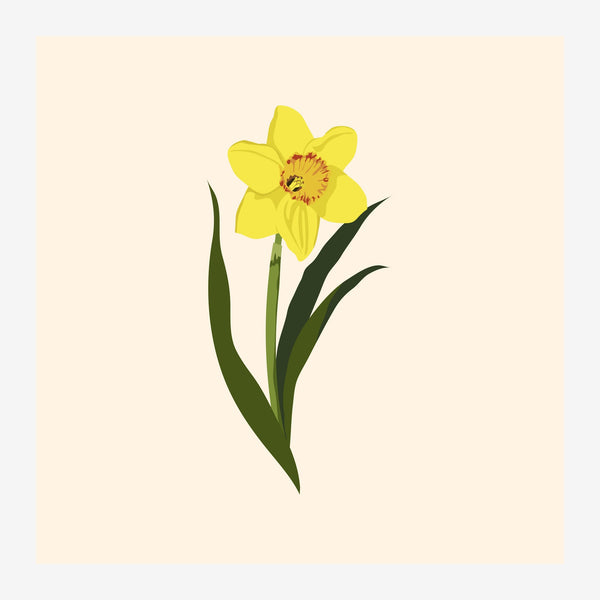 Jonquille jaune, style botanique minimaliste — Toile sur châssis