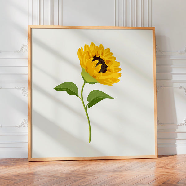 Tournesol jaune vif, illustration botanique — Poster HP mat