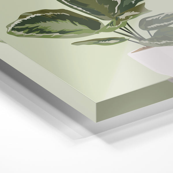 Plante panachée vert sauge en illustration botanique — Verre acrylique