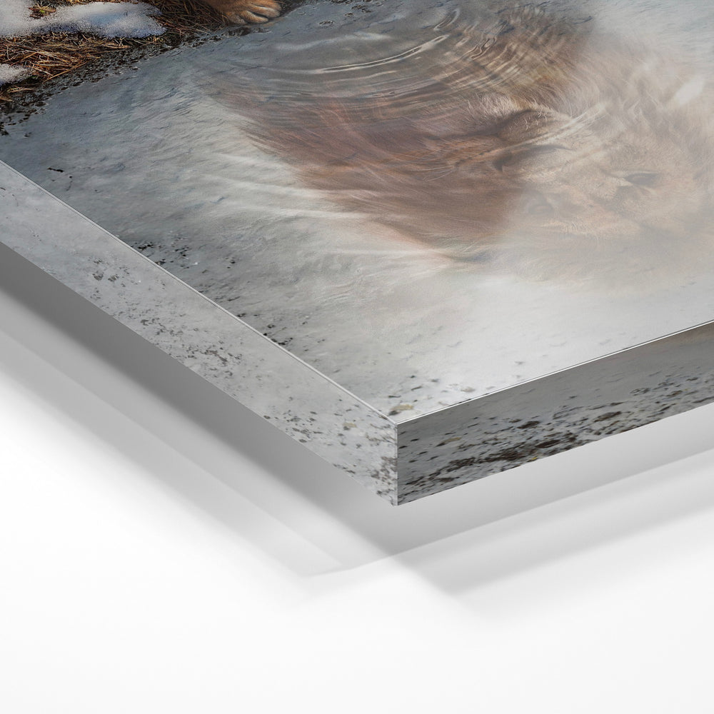 Gros plan de la matière : le tirage sous verre acrylique, tranche transparente visible.