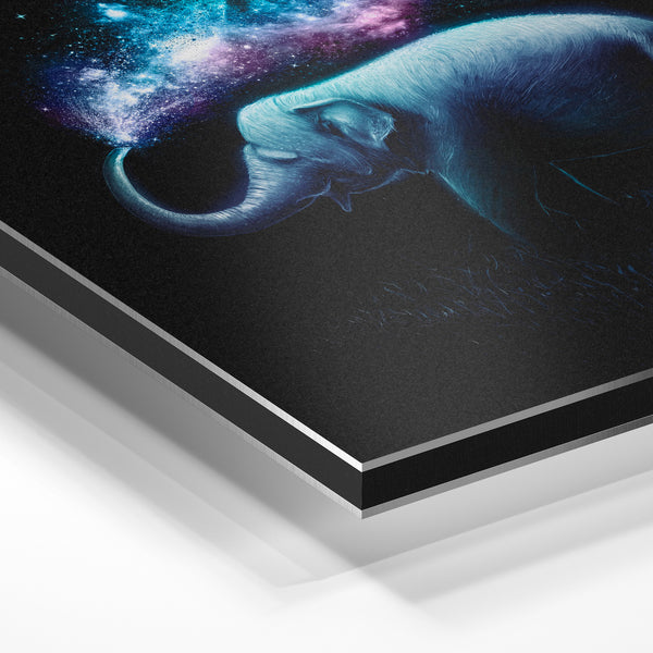 Éléphant cosmique bleu et violet noir et bleu — Aluminium Dibond