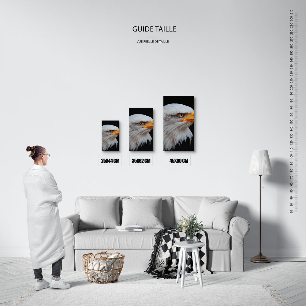Guide des tailles : le tirage présenté dans ses 3 formats de vente, à l'échelle réelle sur un mur de salon, avec une règle en centimètres.