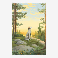 Un chien assis sur un rocher regarde vers le ciel dans une clairière forestière au coucher de soleil, entouré d'arbres de.