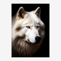 Portrait d'un loup blanc au regard direct, aux yeux jaunes dorés, sur fond noir uni.