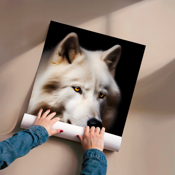 Loup blanc aux yeux d'or, portrait noir et blanc — Poster HP mat