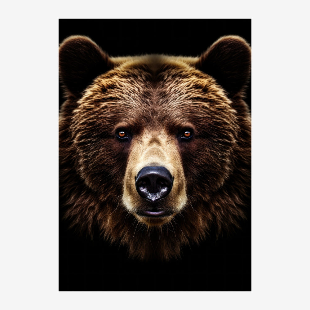 Portrait rapproché d'un ours brun face à la caméra sur fond noir, avec des yeux bleus et une fourrure marron clair.