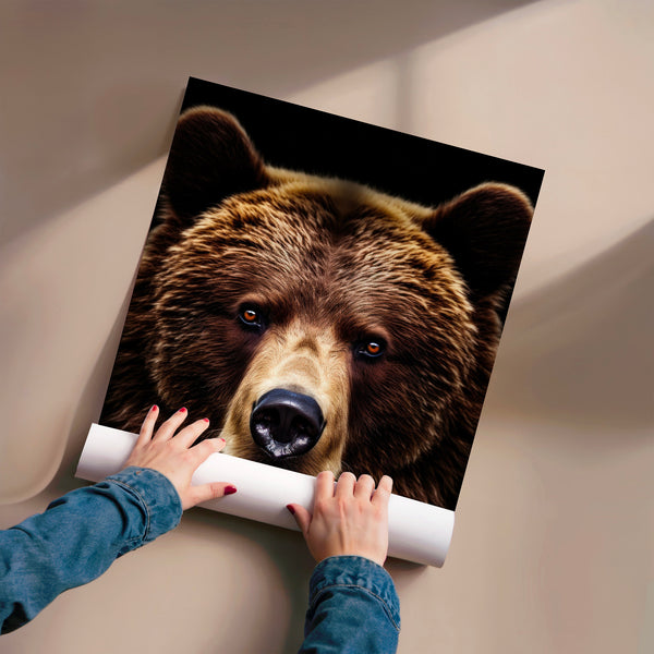 Ours brun regard perçant noir et marron minimaliste — Poster HP mat