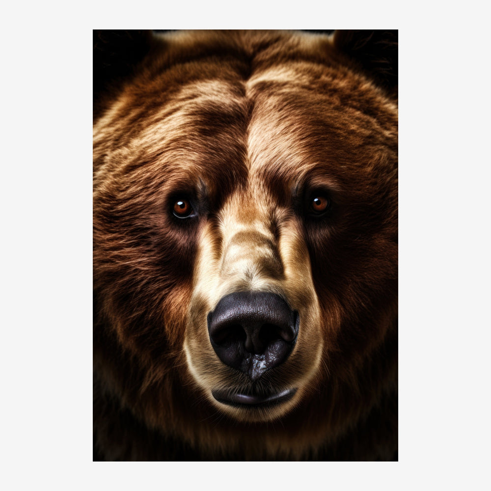 Portrait rapproché d'un ours brun au pelage marron et beige, aux yeux ambrés, sur fond noir profond.