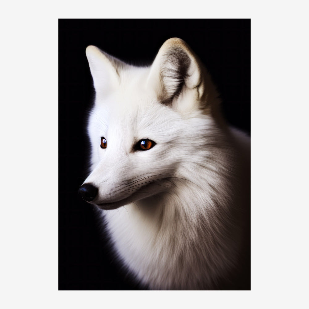 Portrait d'un renard blanc aux yeux dorés, de profil trois-quarts, sur un fond noir uni.