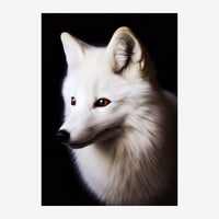 Portrait d'un renard blanc aux yeux dorés, de profil trois-quarts, sur un fond noir uni.