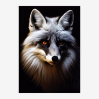 Portrait frontal d'un renard au pelage gris et blanc avec des yeux ambre brillants sur fond noir.