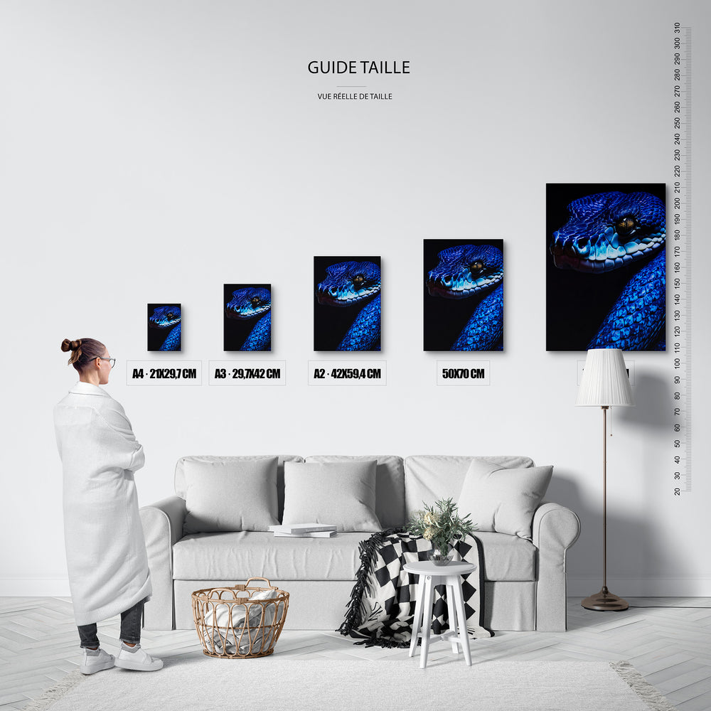 Le tableau, vue guide_taille.