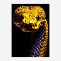 Portrait rapproché d'un serpent au corps jaune doré et à la tête vue de face, aux écailles brillantes en relief, sur un fond.