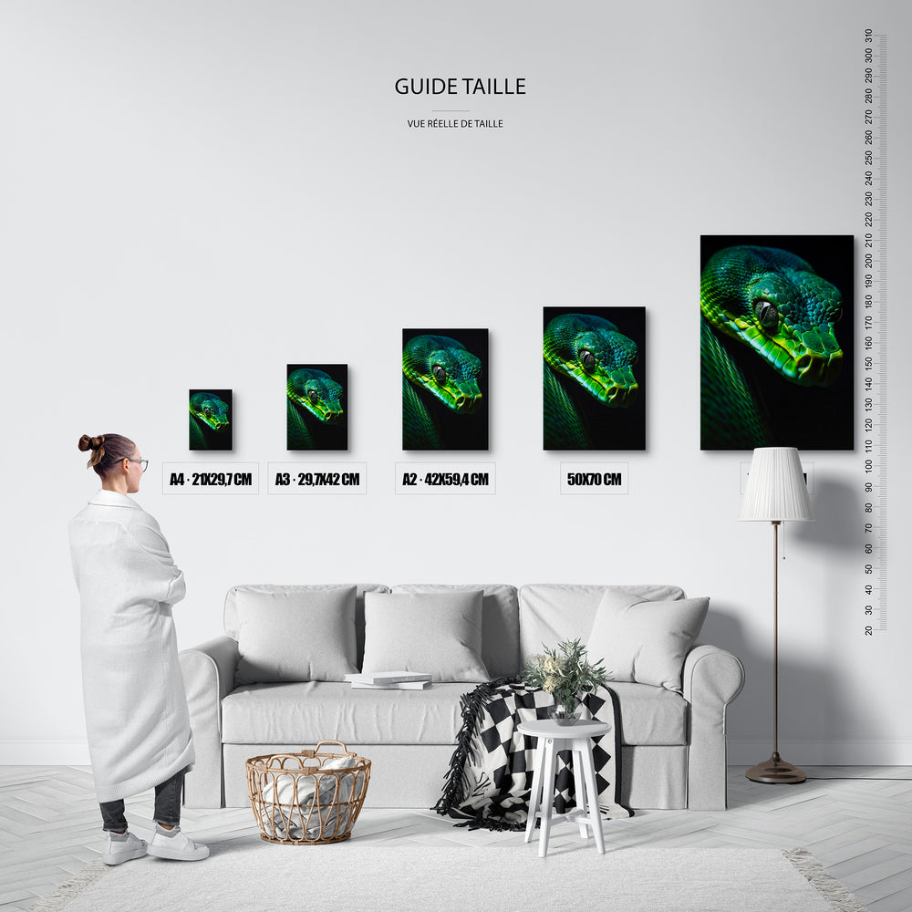 Le tableau, vue guide_taille.