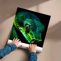 L'impression présentée en poster, sans encadrement, sur un mur neutre.