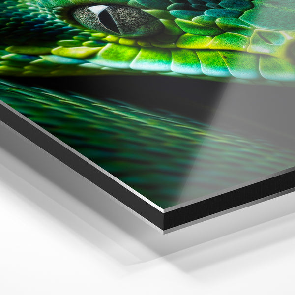Portrait de serpent vert et noir, regard perçant — Aluminium Dibond relief 3D