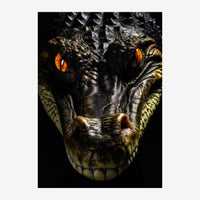 Gros plan d'un crocodile frontal avec des yeux orange brillants, écailles noires et dorées, fond noir.