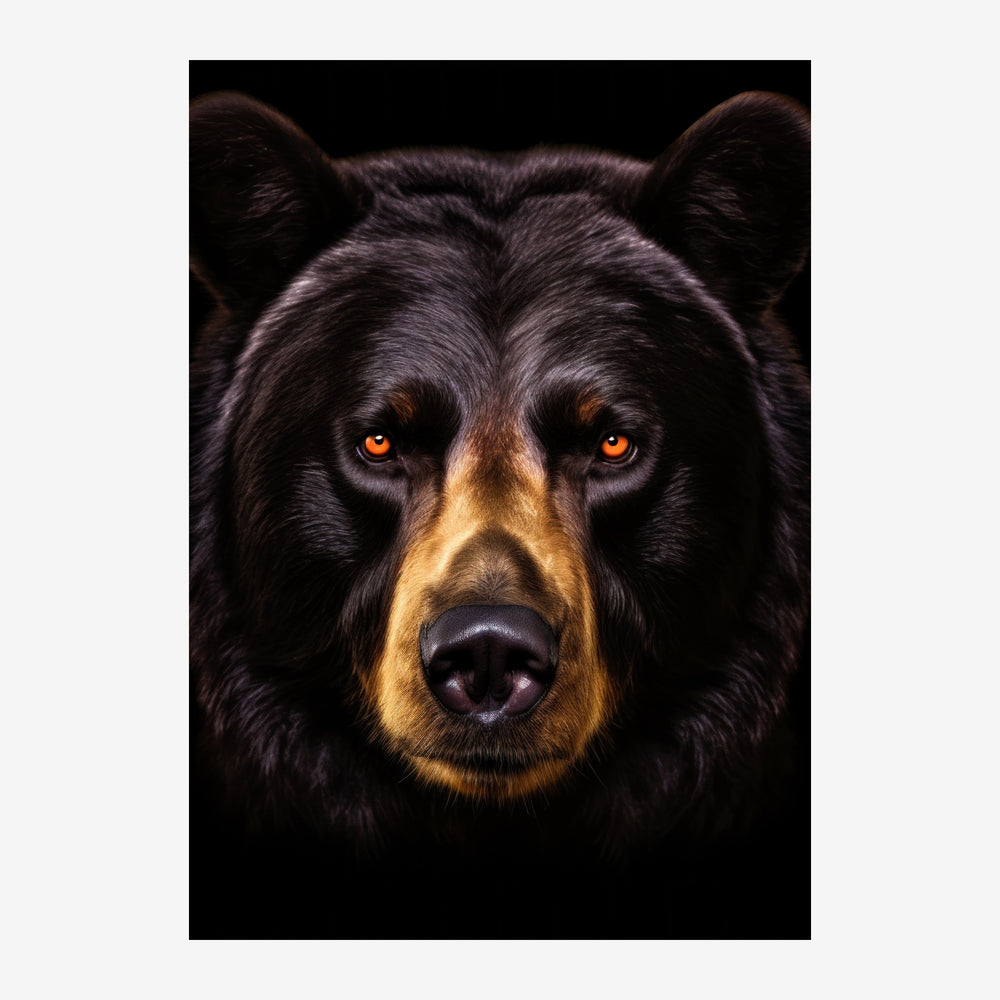 Portrait en gros plan d'un ours noir aux yeux ambre brillants, avec des reflets dorés sur le museau, sur un fond noir.