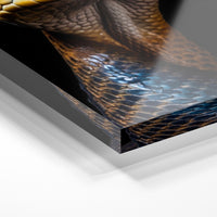 Gros plan de la matière : le tirage sous verre acrylique, tranche transparente visible.