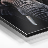 Gros plan de la matière : le tirage contrecollé sur aluminium Dibond mat, tranche visible.