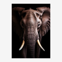 Portrait frontal d'un éléphant aux teintes noires et marron, avec des défenses ivoire, sur fond noir.