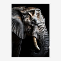 Portrait en gros plan d'un éléphant de profil sur fond noir, montrant sa tête, sa trompe et sa défense d'ivoire, avec.