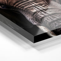 Gros plan de la matière : le tirage sous verre acrylique, tranche transparente visible.