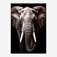 Portrait frontal en gros plan d'un éléphant gris aux défenses d'ivoire sur fond noir.