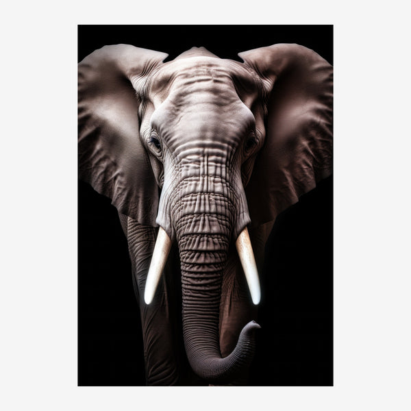 Éléphant face tusks, affiche noir et blanc — Toile sur châssis