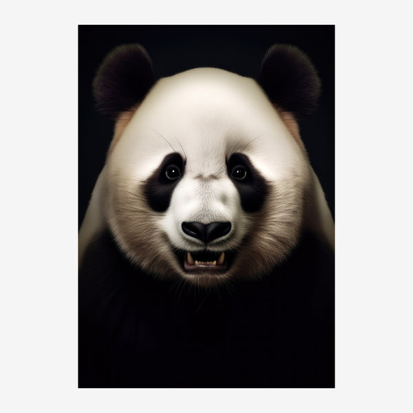 Panda au regard intense, poster noir et blanc — Toile sur châssis