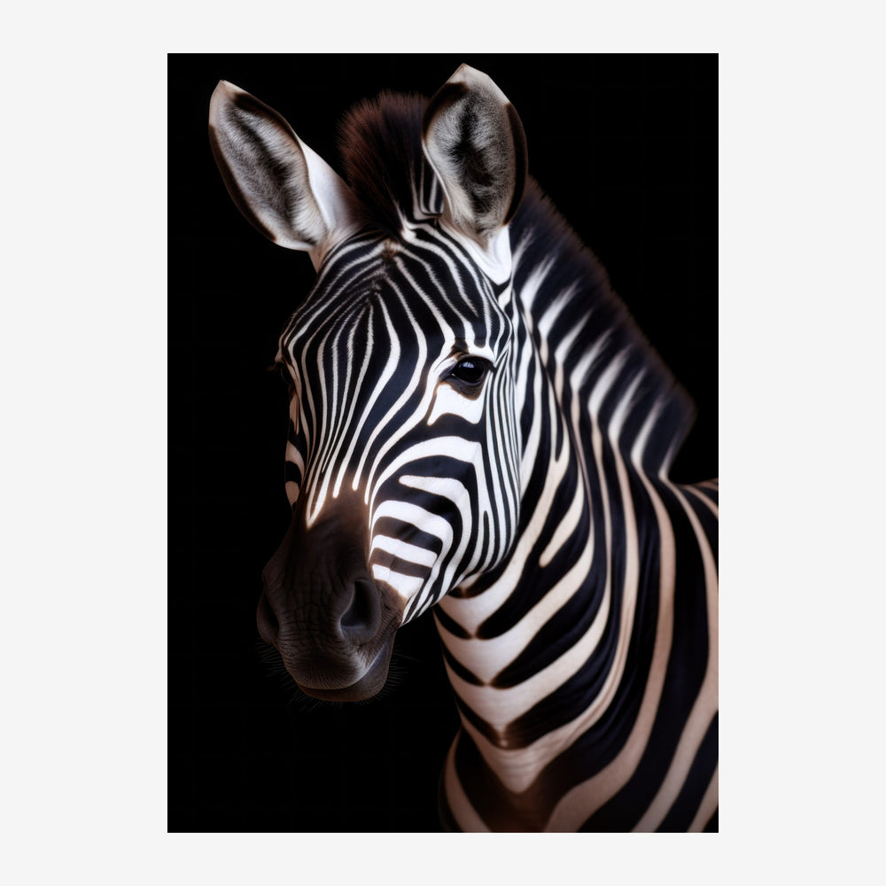 Portrait frontal d'un zèbre aux rayures noires et blanches contrastées sur fond noir.