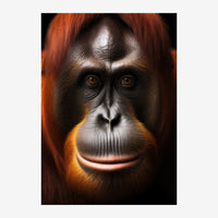 Portrait rapproché d'un orang-outan aux yeux ambrés, pelage roux et noir, regard direct vers le spectateur.