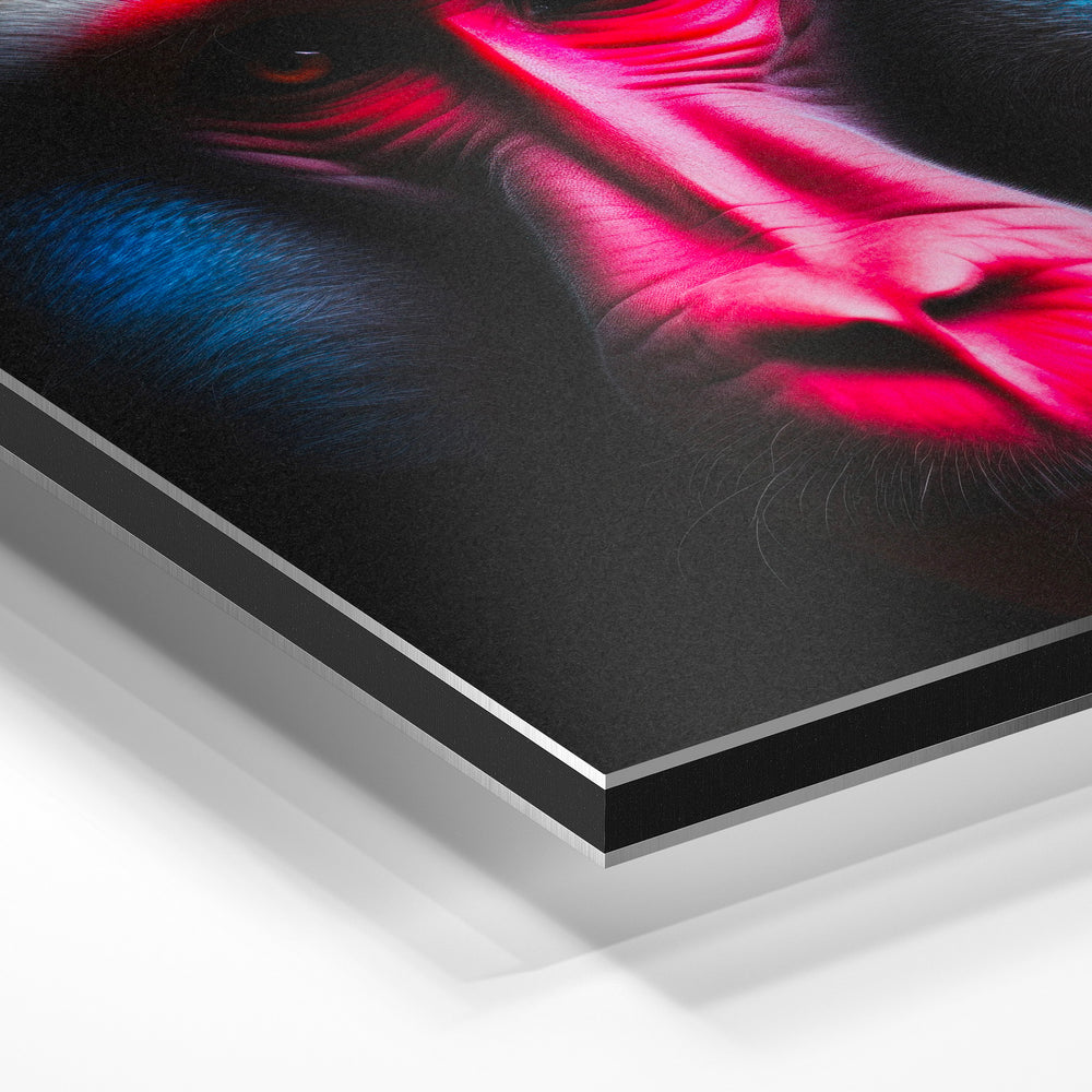 Gros plan de la matière : le tirage contrecollé sur aluminium Dibond mat, tranche visible.