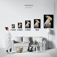 Le tableau, vue guide_taille.
